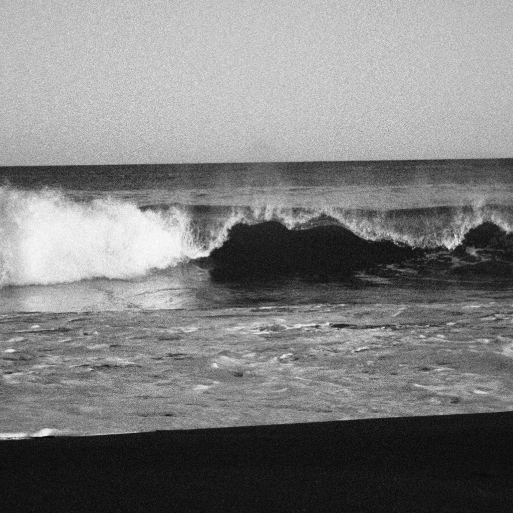 海