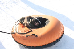 おやすみなさい