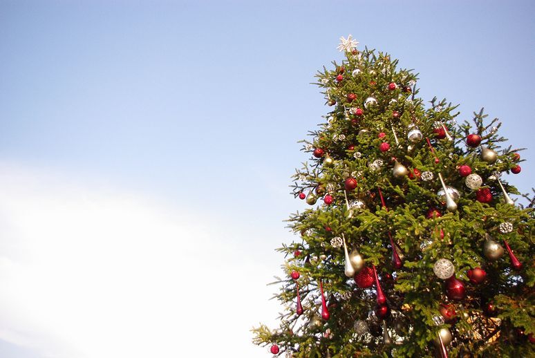 青空とクリスマスツリー