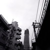 谷間から