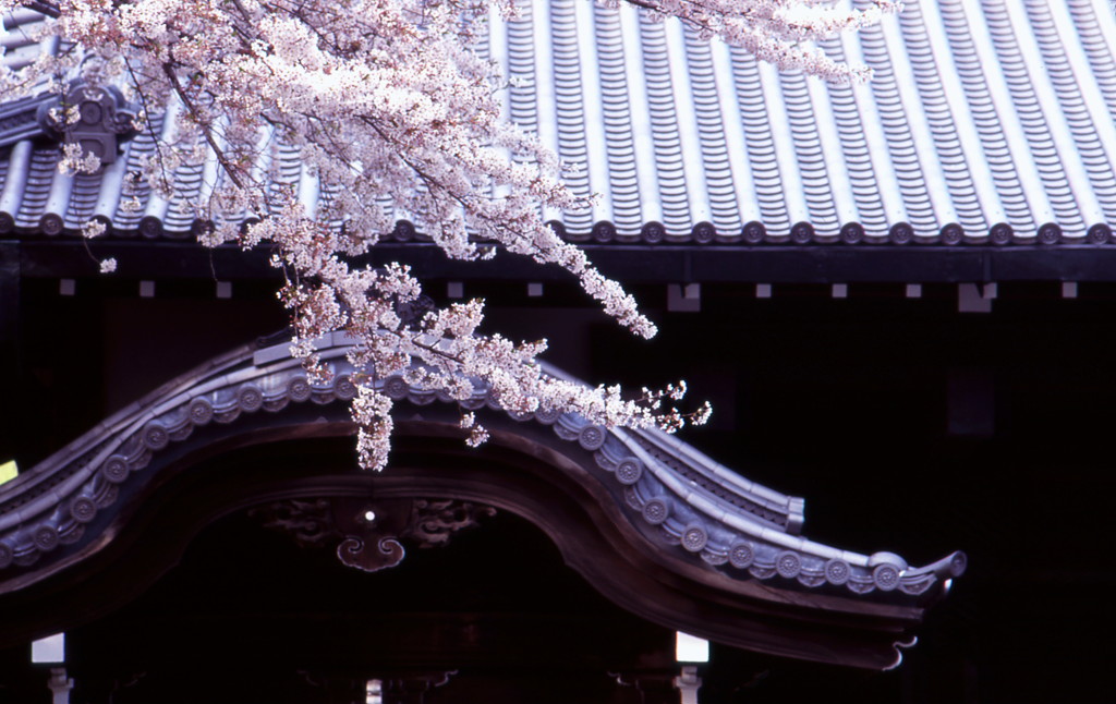 日本