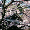 そうだ！上野へ行こう