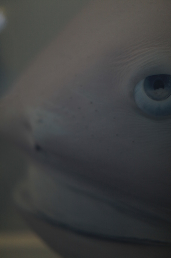 マリンワールド