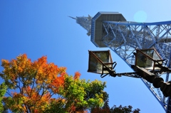 秋の名古屋タワー