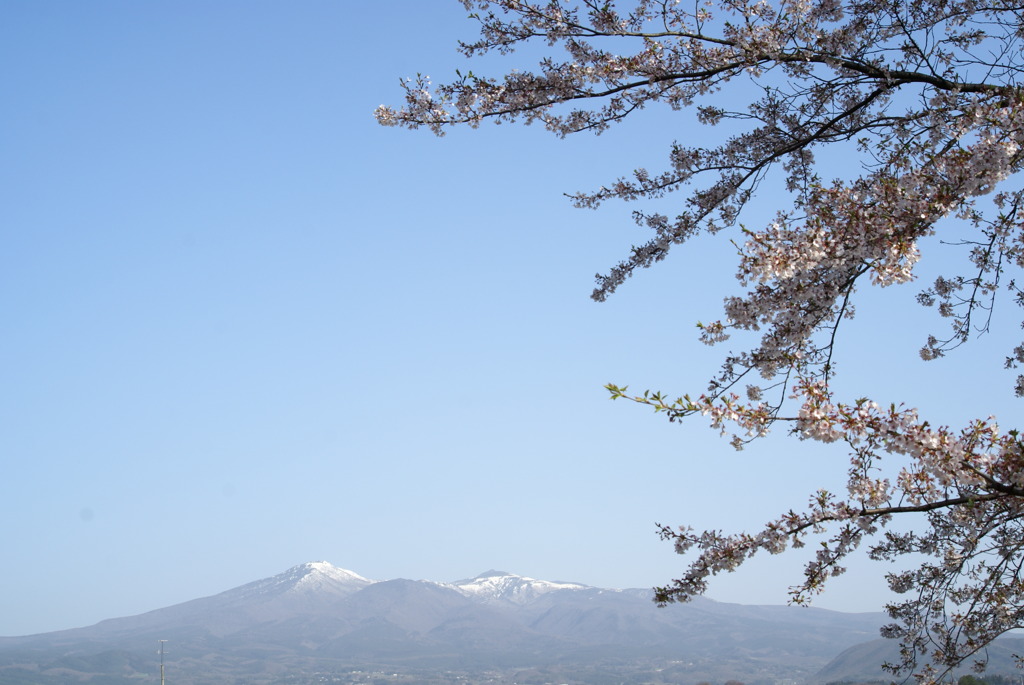 安達太良山　と　桜