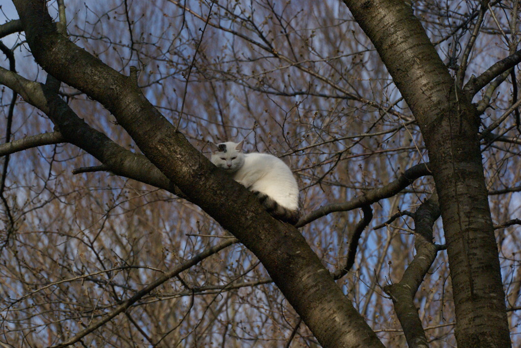 こんなところに・・