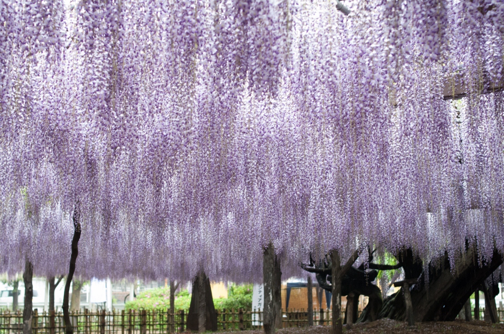 玉敷神社