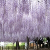 玉敷神社