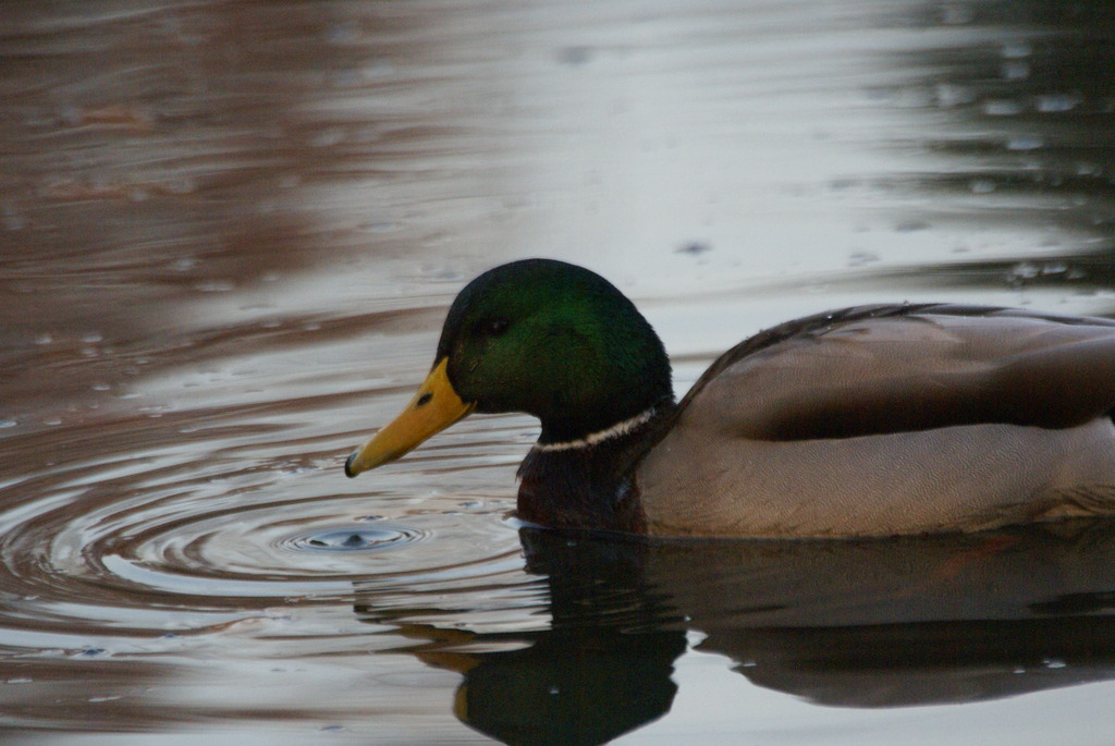 平和ですねぇ～