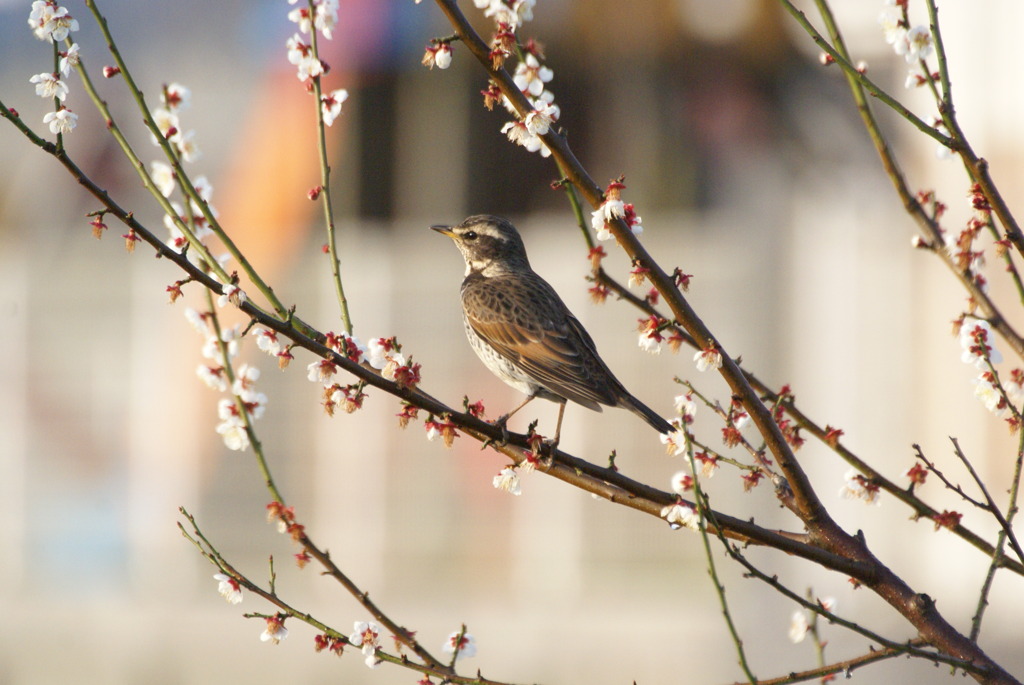 さて、そろそろ帰ろうか・・
