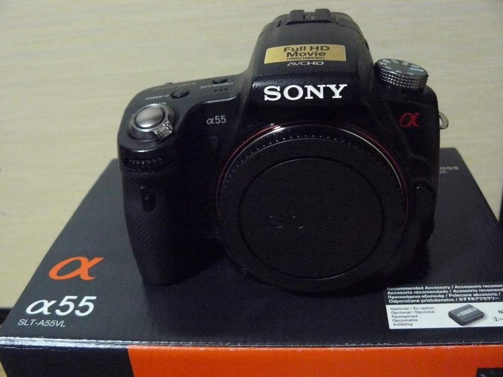 α55　よろしく！（＾＾）！