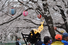 桜まつり