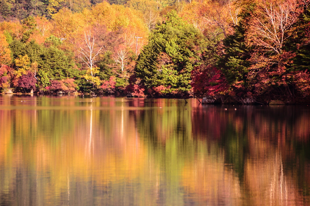 湯ノ湖　鏡面紅葉