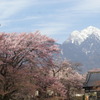 甲斐駒ケ岳と神代桜