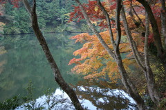 鎌北湖　～静かな朝の紅葉～