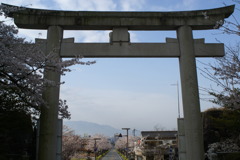 武田神社から望む