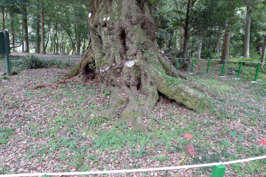 P1000511