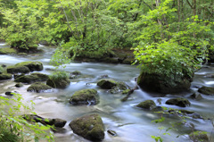 早朝　渓流を歩く