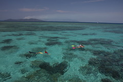 何かいるかな～