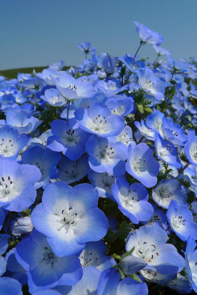 BLUExBLUE