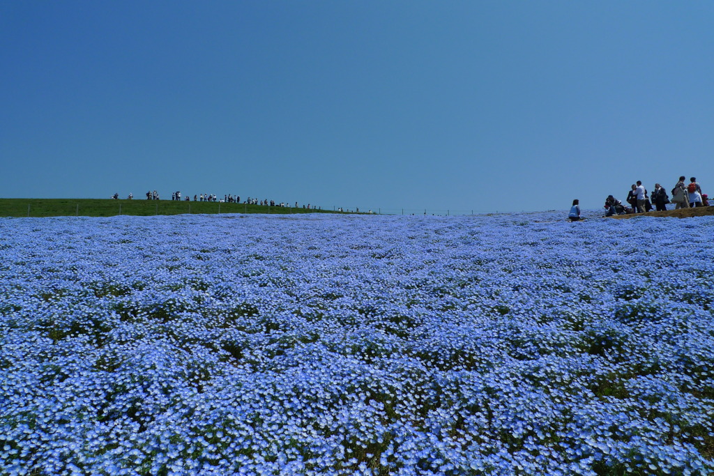 BLUExBLUE