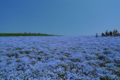 BLUExBLUE
