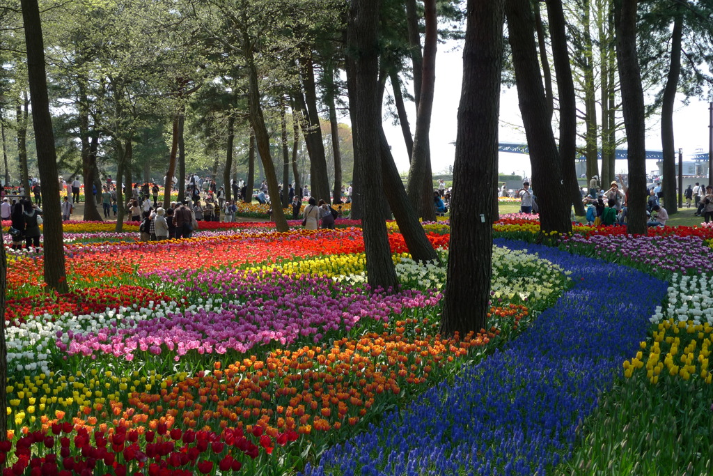colorful carpet