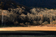 autumu in nikko 1