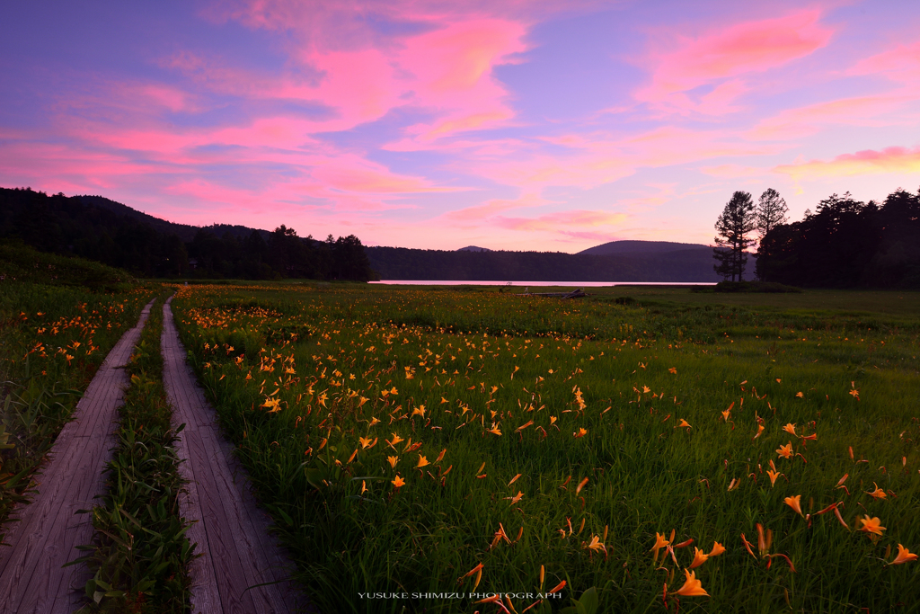 sunset in oze