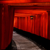 senbon torii Ⅱ