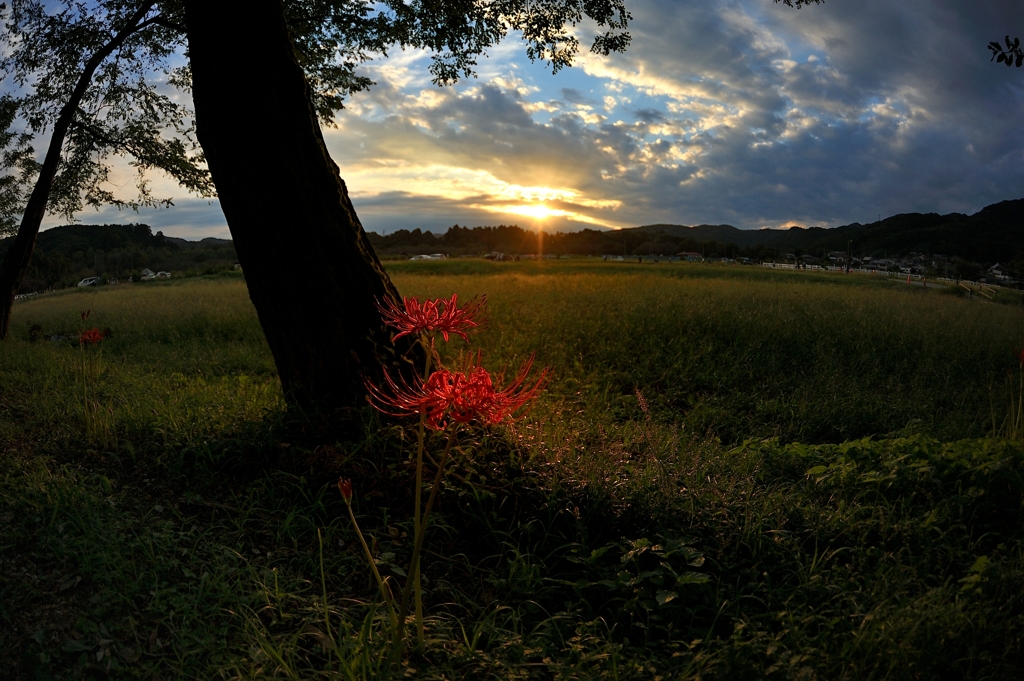 Afterglow road