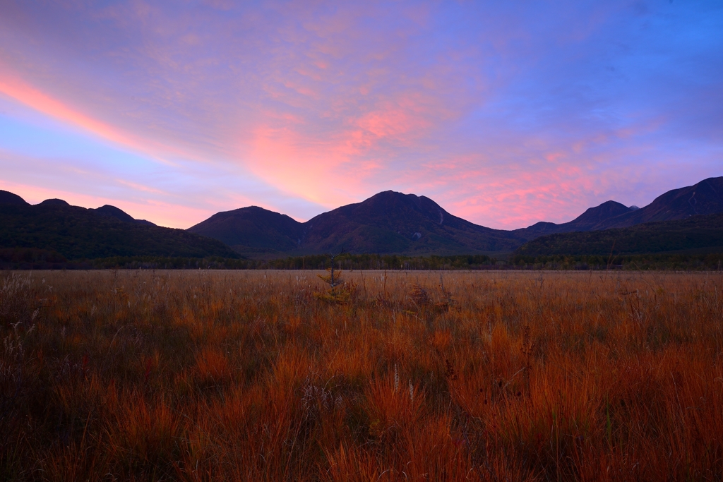 Sunset in bog