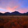 Sunset in bog