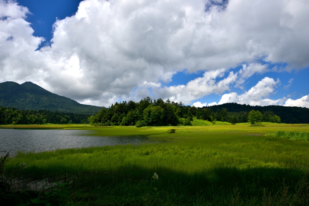 Blue and Green