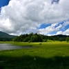 Blue and Green