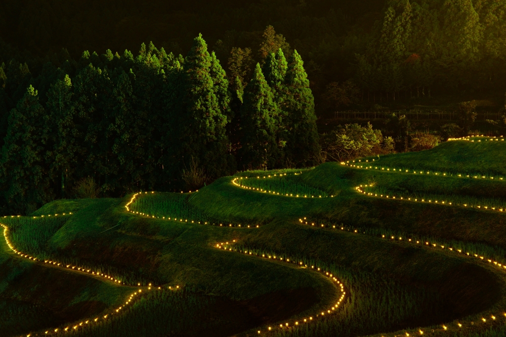 Rice terrace