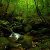 Deep Forest
