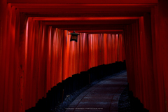 senbon torii