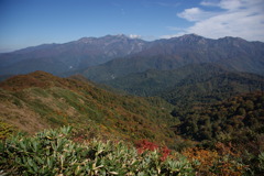 赤兎山からの紅葉
