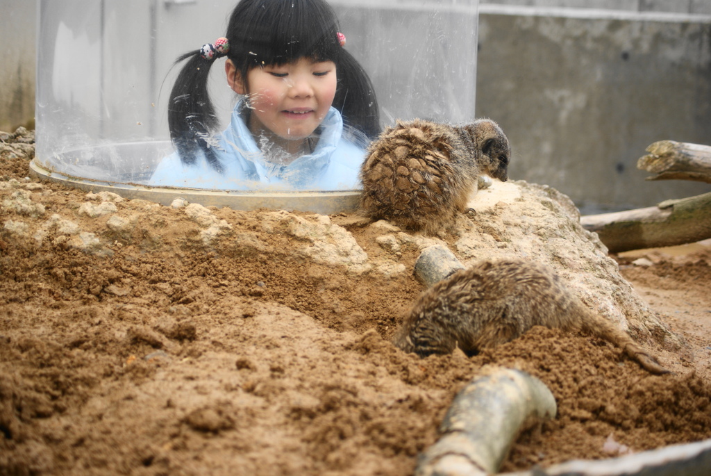 気になる穴の中