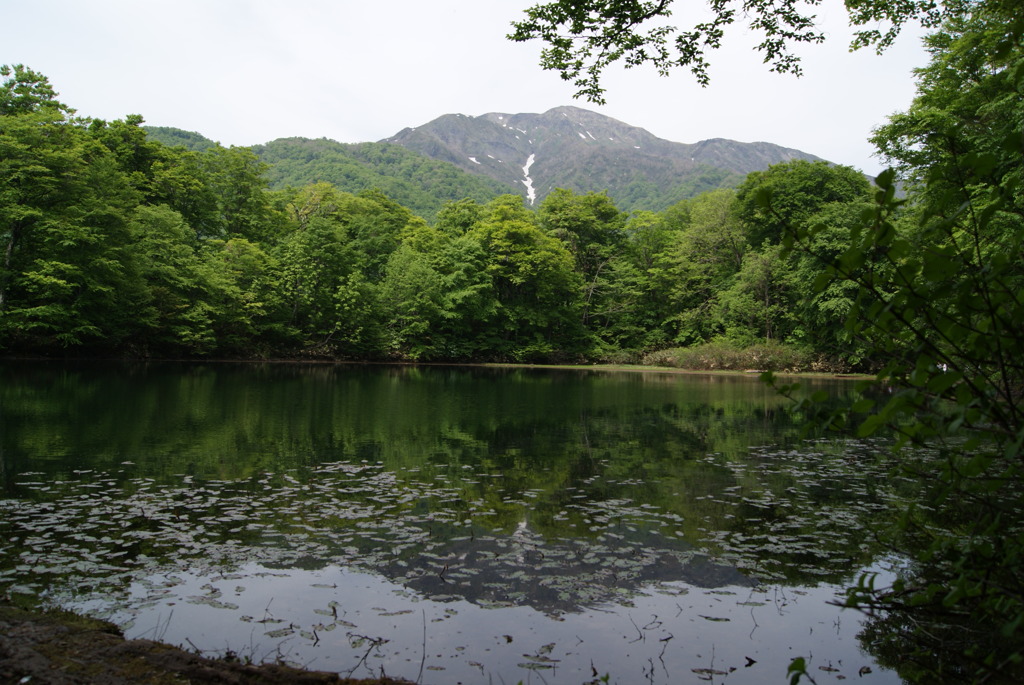刈込池と三ノ峰1