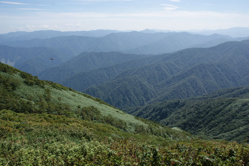 荒島岳山頂から２