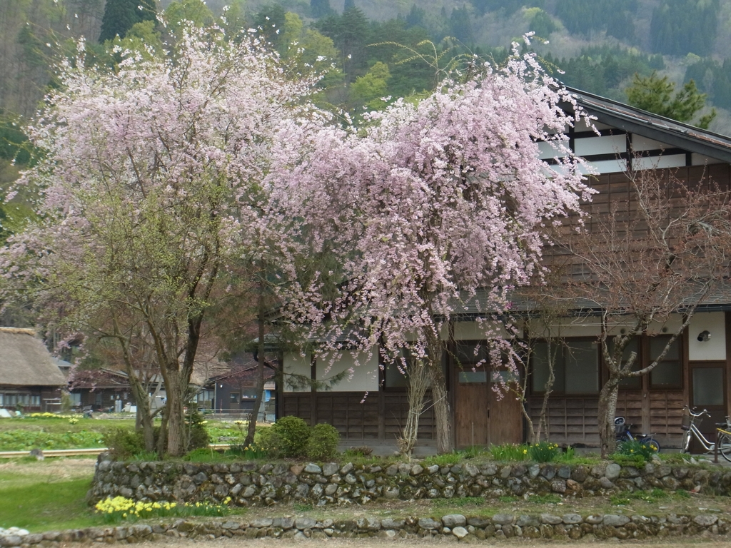 白川郷