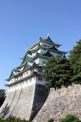 名古屋城ってこんなに綺麗なんだ。
