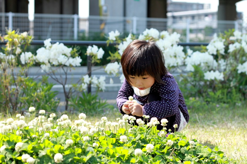 木漏れ日の中で
