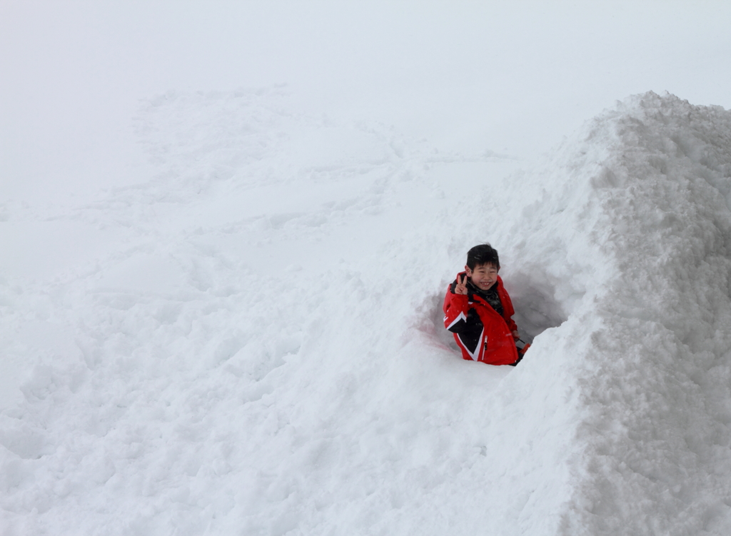 snow snow snow