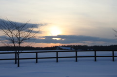 北の牧場、冬の夕暮れ。