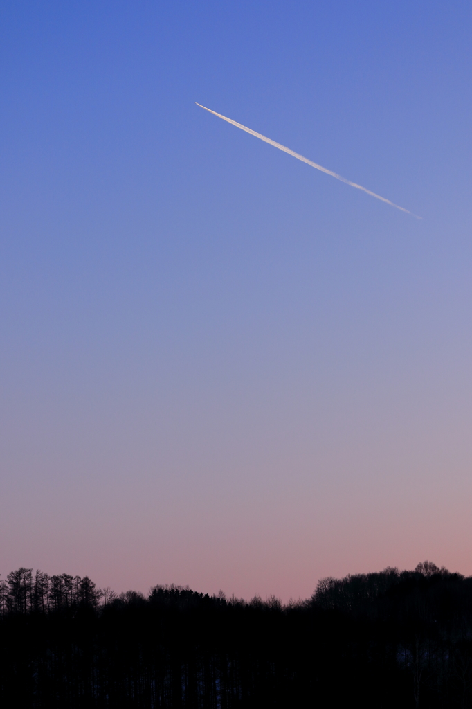 夕闇に飛んでく