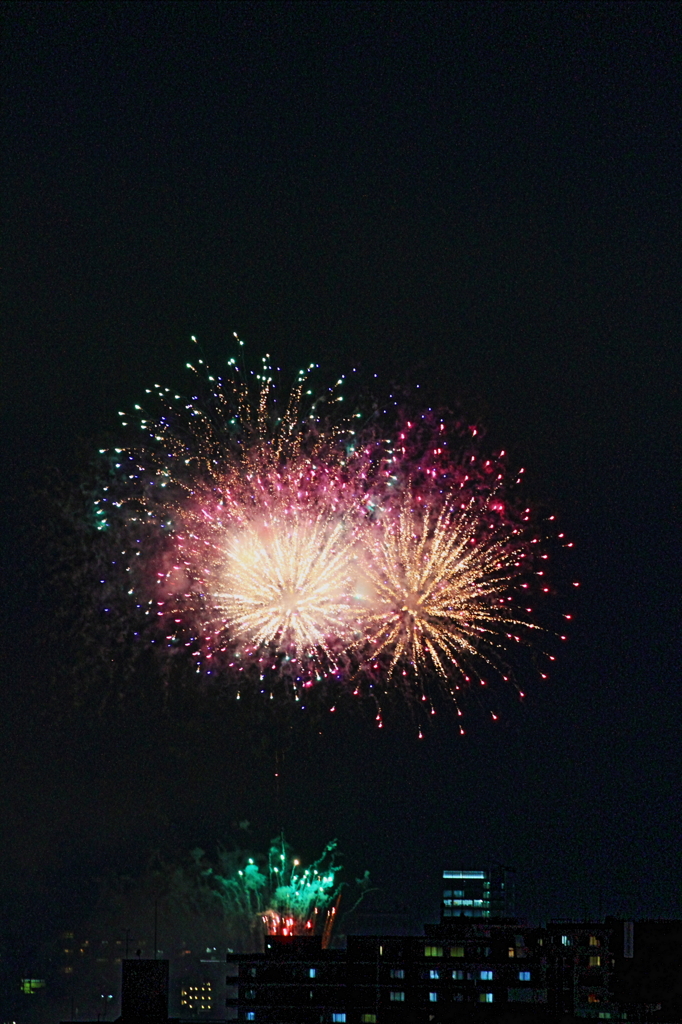 街に咲いた花