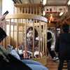 素敵な電車でのひととき